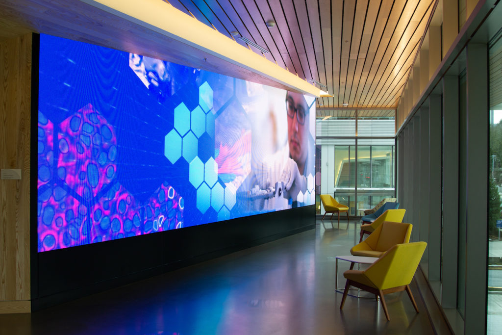 Knight Cancer Research Building video wall